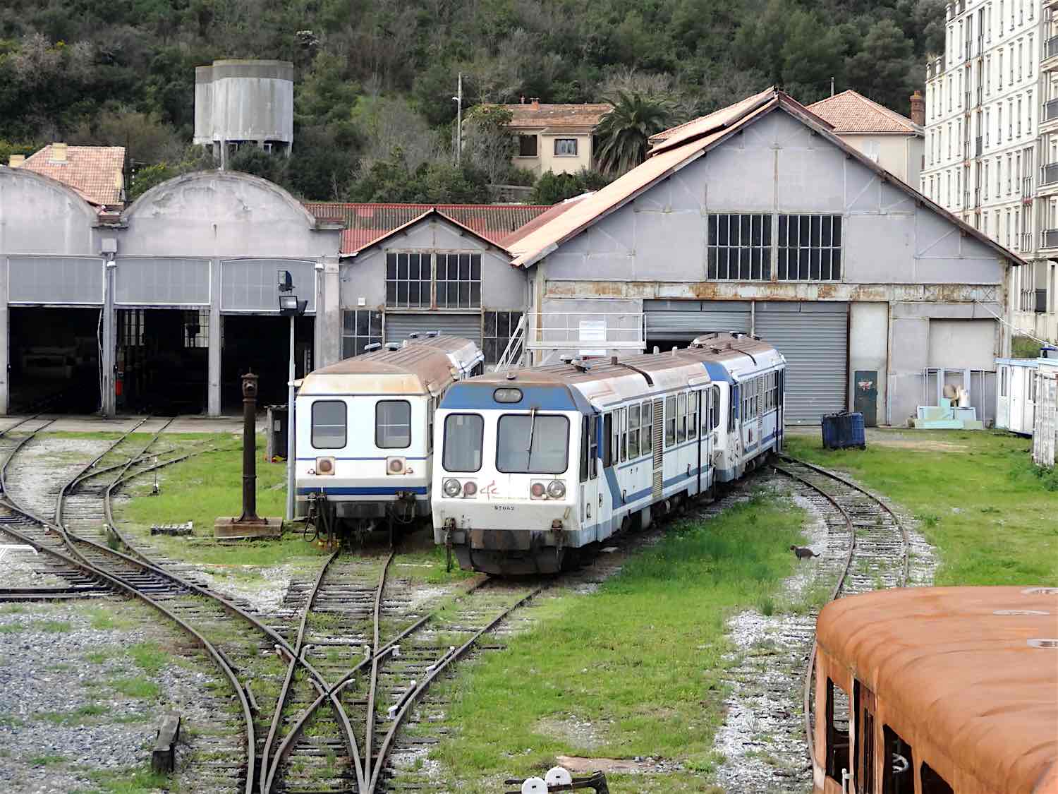 JYS17_9186.jpg