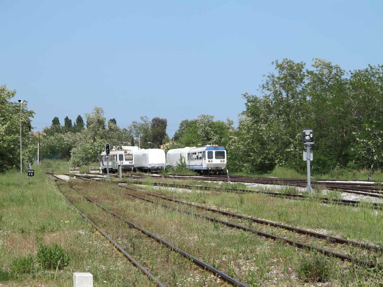 EL309.jpg